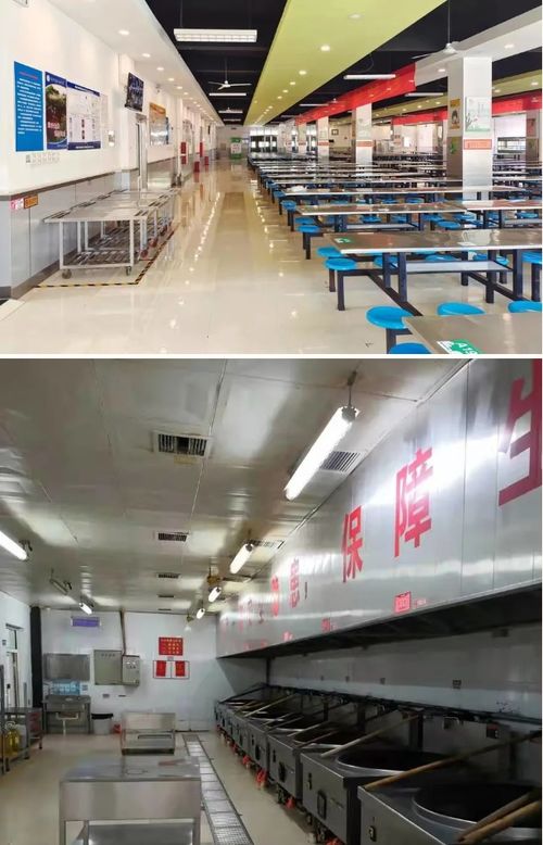 河北邢臺市創建省級校園食品安全標準食堂44家，助推正餐服務再上臺階